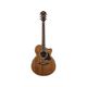 Ibanez AE245 NT Chitarra elettroacustica naturale