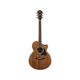 Ibanez AE245 NT Chitarra elettroacustica naturale