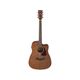 Ibanez PF12MHCE OPN Chitarra acustica elettrificata Natural