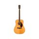 Fender PM-1 Standard Chitarra acustica elettrificata Natural con custodia rigida