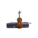 Stentor Student I VL1120 Violino da studio 1/2 completo
