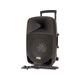 PARTY 12 LED Cassa amplificata portatile multifunzione 700W con microfono, USB, Bluetooth