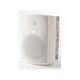 Proel XE55TW Diffusore da installazione 2 vie 60W