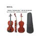 Violino da studio 1/2 DAM Student Line MV012L12