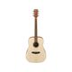 Ibanez PF10-OPN Open Pore Natural Chitarra acustica