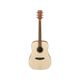 Ibanez PF10-OPN Open Pore Natural Chitarra acustica