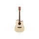 Ibanez PF10CE-OPN Open Pore Natural Chitarra acustica elettrificata