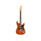 Fender Player Stratocaster PF Aged Natural Chitarra elettrica