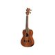 Gewa Manoa P-CO Ukulele concerto con borsa