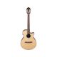 Ibanez AEG50N NT Natural High Gloss Nylon Chitarra classica elettrificata