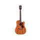 GUILD D-120CE Nat Westerly Chitarra acustica elettrificata