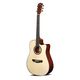 Alysee A120 CE N Chitarra acustica naturale Elettrificata