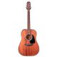 TAKAMINE GLD11E-NS All Mahogany Chitarra acustica elettrificata