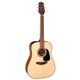 TAKAMINE GLD12E-NS Natural Chitarra acustica elettrificata