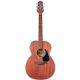 TAKAMINE GLN11E-NS All Mahogany Chitarra acustica elettrificata