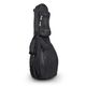 Rockbag RB20636B/PLUS Borsa imbottita per mandolino