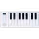 CARRY ON Piano 49 Touch White Pianoforte Pieghevole 49 Tasti Touch
