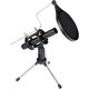 EIKON CM150V2 Microfono Professionale a Condensatore per strumenti