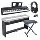 Echord DP-1 Bundle Completo