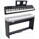 Echord DP-1 Bundle + stand