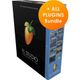 FL STUDIO ALL PLUGIN