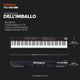 Roland RD-88EX Stage Piano 88 tasti pesati