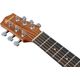 IBANEZ EWP12EWB-OPN Open Pore Natural