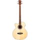 ORTEGA D538-4-L Basso Acustico Elettrificato