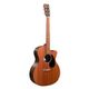 GPC-X2E Ziricote Remastered Chitarra Acustica
