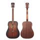 D'ANGELICO Premier Lexington LS Aged Mahogany Chitarra Acustica Elettrificata
