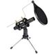 EIKON CM150V2 Microfono Professionale a Condensatore per strumenti