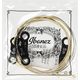 Ibanez IACS6C Muta di corde per chitarra acustica Light 012-053