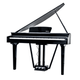 Echord GP-10B Pianoforte coda digitale nero