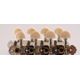 MAXTONE GM-40S Meccaniche per Mandolino