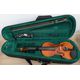 Schiller Violino 1/2 Con Custodia e Acessori Usato