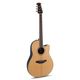 Ovation Chitarre elettroacustiche Celebrity CS Standard Mid Cutaway