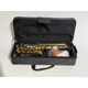 W. Stern WSSA30 Sax contralto laccato oro con astuccio B-Stock