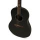 Ovation Pro Series Ultra 1516PBM-G Chitarra acustica elettrificata Pitch Black