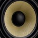 M-AUDIO Forty Sixty Monitor da studio