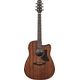 IBANEZ AAD190CE-OPN Chitarra Acustica Elettrificata