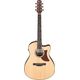 Ibanez AAM50CEOPN Open Pore Natural Chitarra Acustica