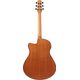 Ibanez AAM50CEOPN Open Pore Natural Chitarra Acustica