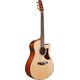 Ibanez AAM50CEOPN Open Pore Natural Chitarra Acustica