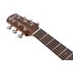 Ibanez AAM50CEOPN Open Pore Natural Chitarra Acustica