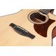 Ibanez AAM50CEOPN Open Pore Natural Chitarra Acustica