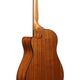 Ibanez AAM50CEOPN Open Pore Natural Chitarra Acustica