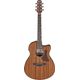 Ibanez AAM54CEOPN Open Pore Natural Chitarra Acustica