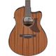 Ibanez AAM54CEOPN Open Pore Natural Chitarra Acustica