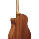 Ibanez AAM54CEOPN Open Pore Natural Chitarra Acustica