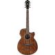 Ibanez AEG61 Chitarra acustica elettrificata Naturale